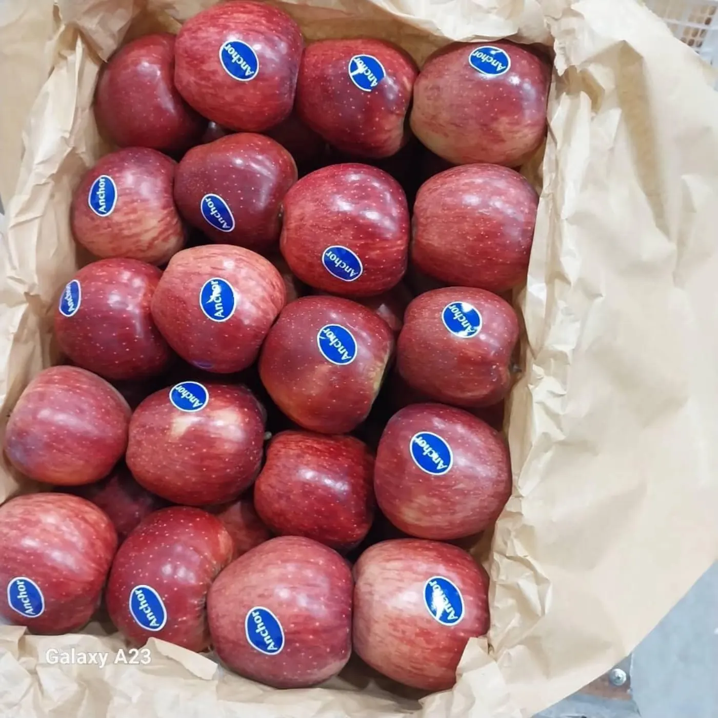 Red apples packed in a paper-lined carton