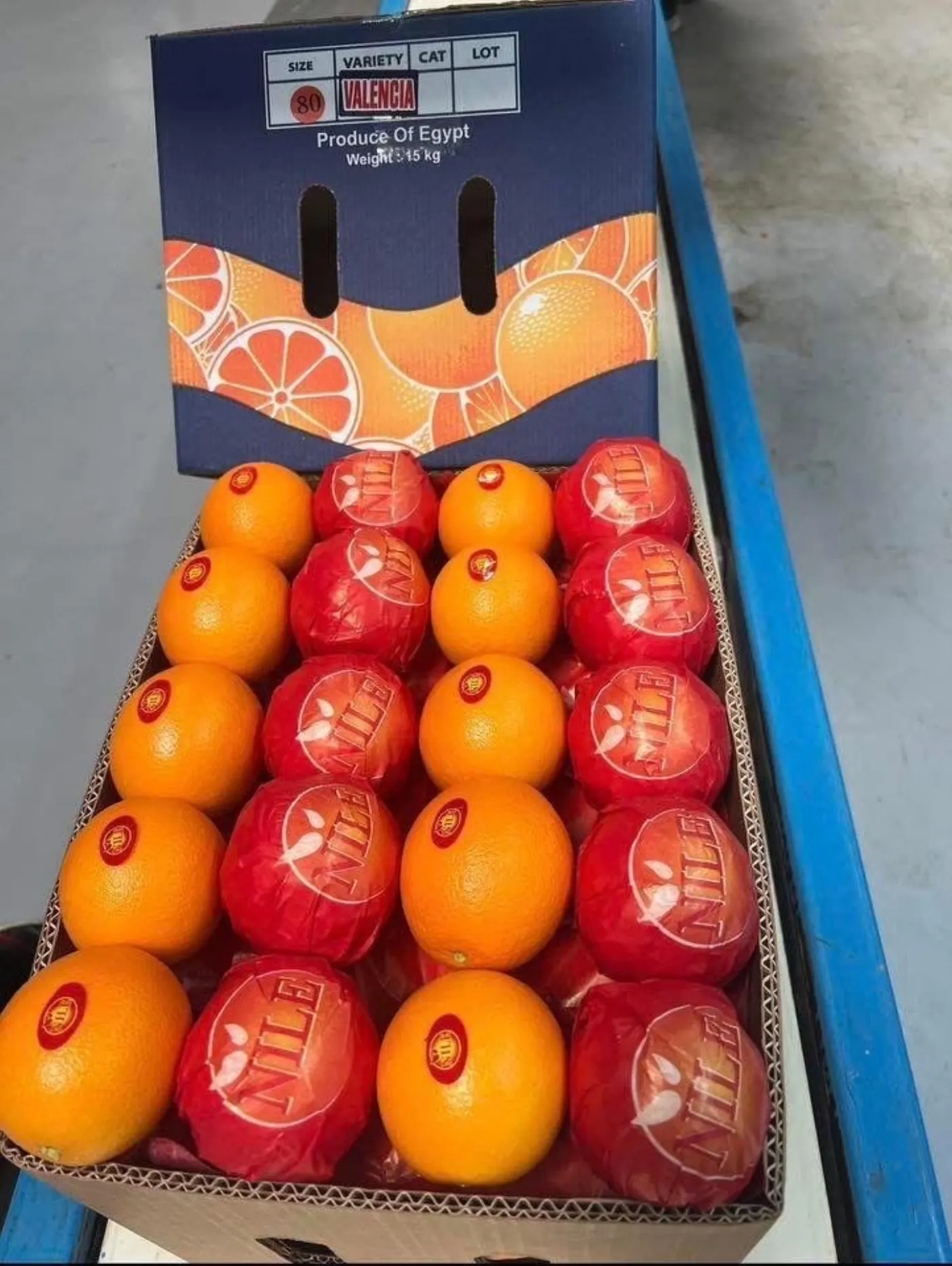 Egyptian Valencia oranges in a 15 kg export carton